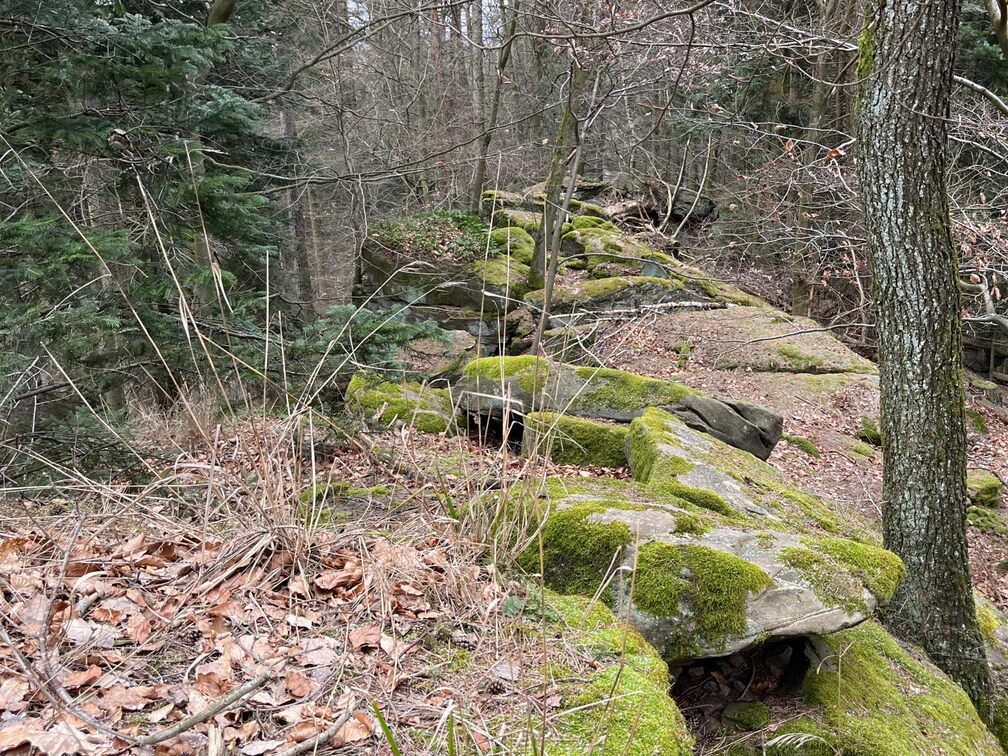 23-02-26 12-58-30 4354